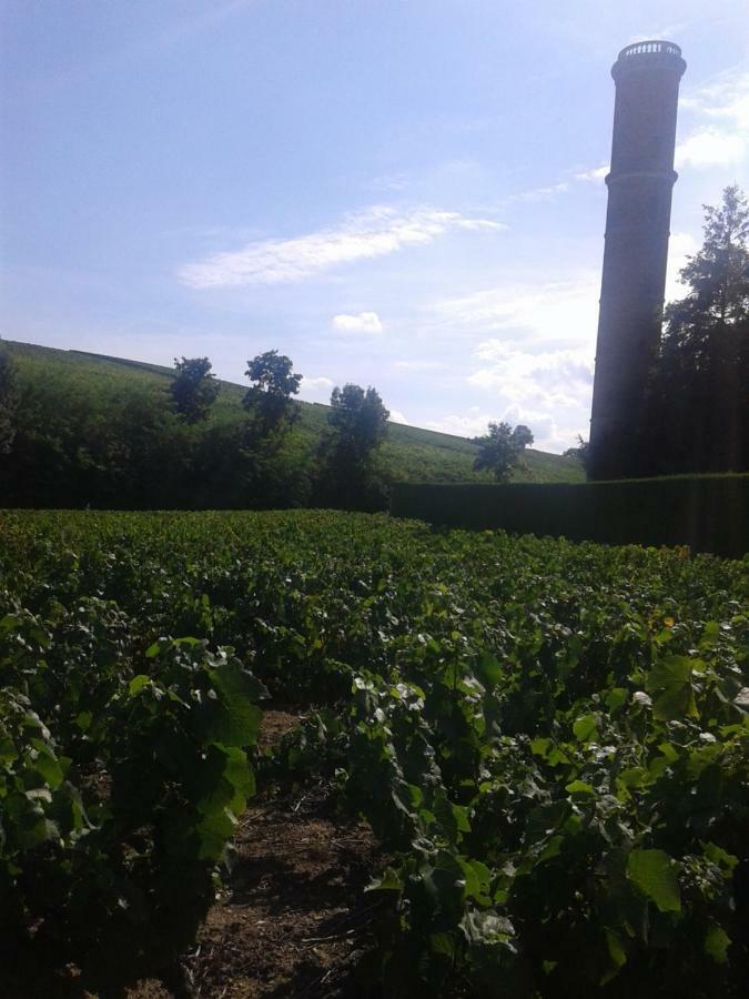 La Maison Des Vignes Charentay Экстерьер фото