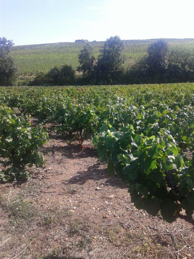 La Maison Des Vignes Charentay Экстерьер фото