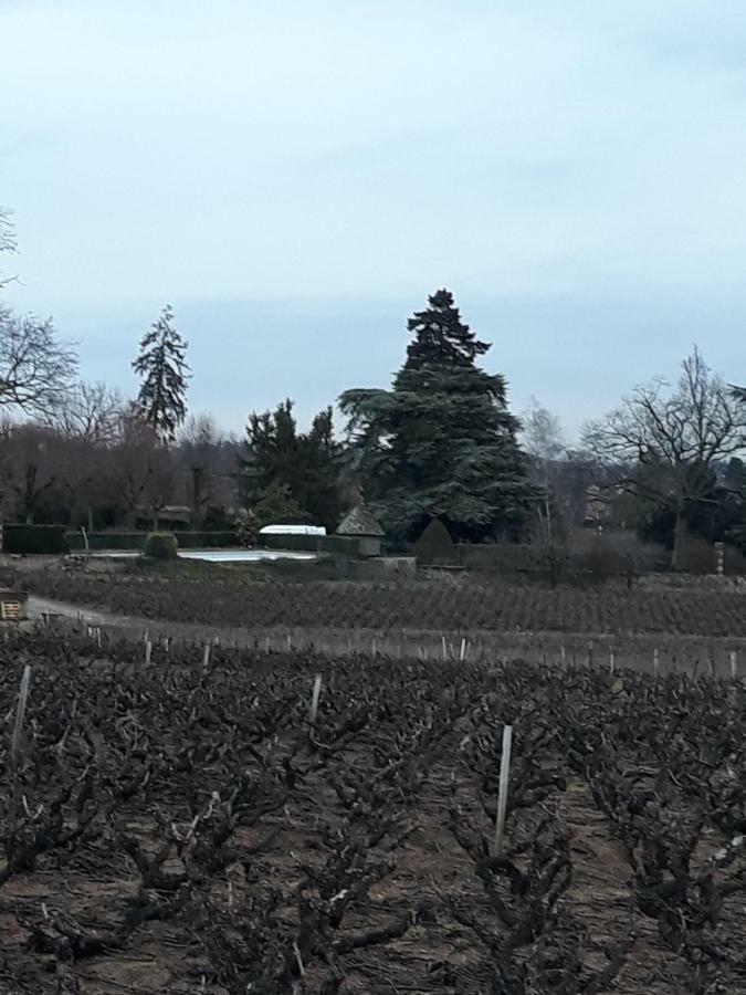 La Maison Des Vignes Charentay Экстерьер фото